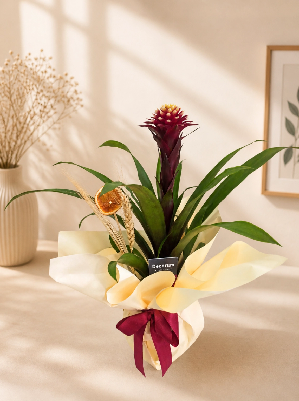 Bordo Guzmania Premium Aranjmanı