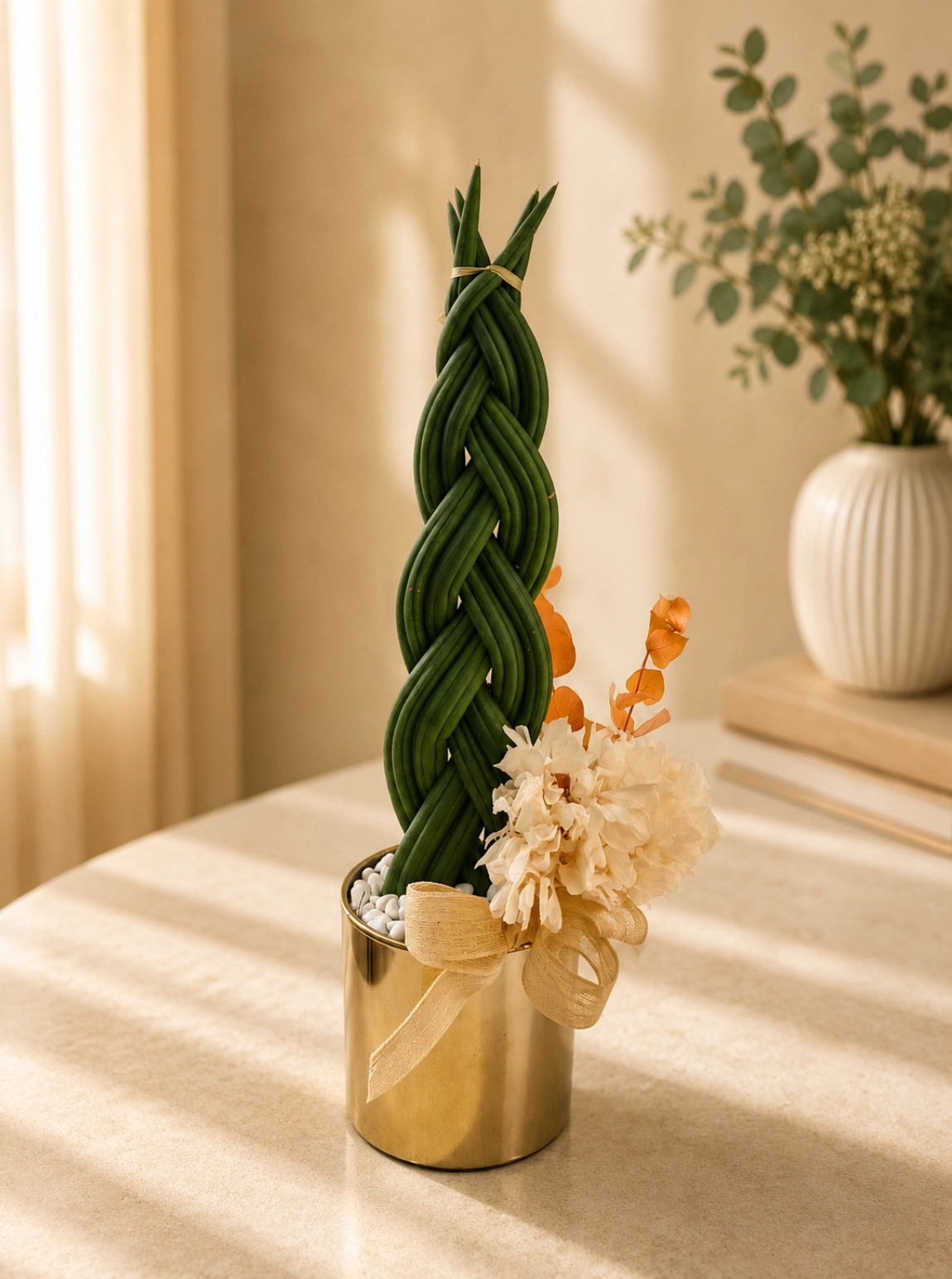 Gold Saksıda Örgü Sansevieria