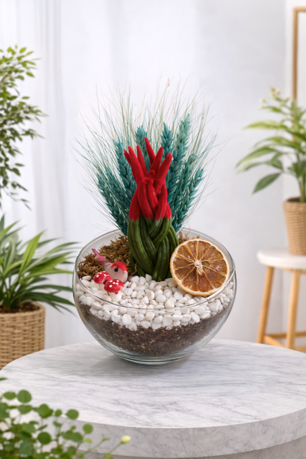 Kırmızı Sansevieria Teraryum