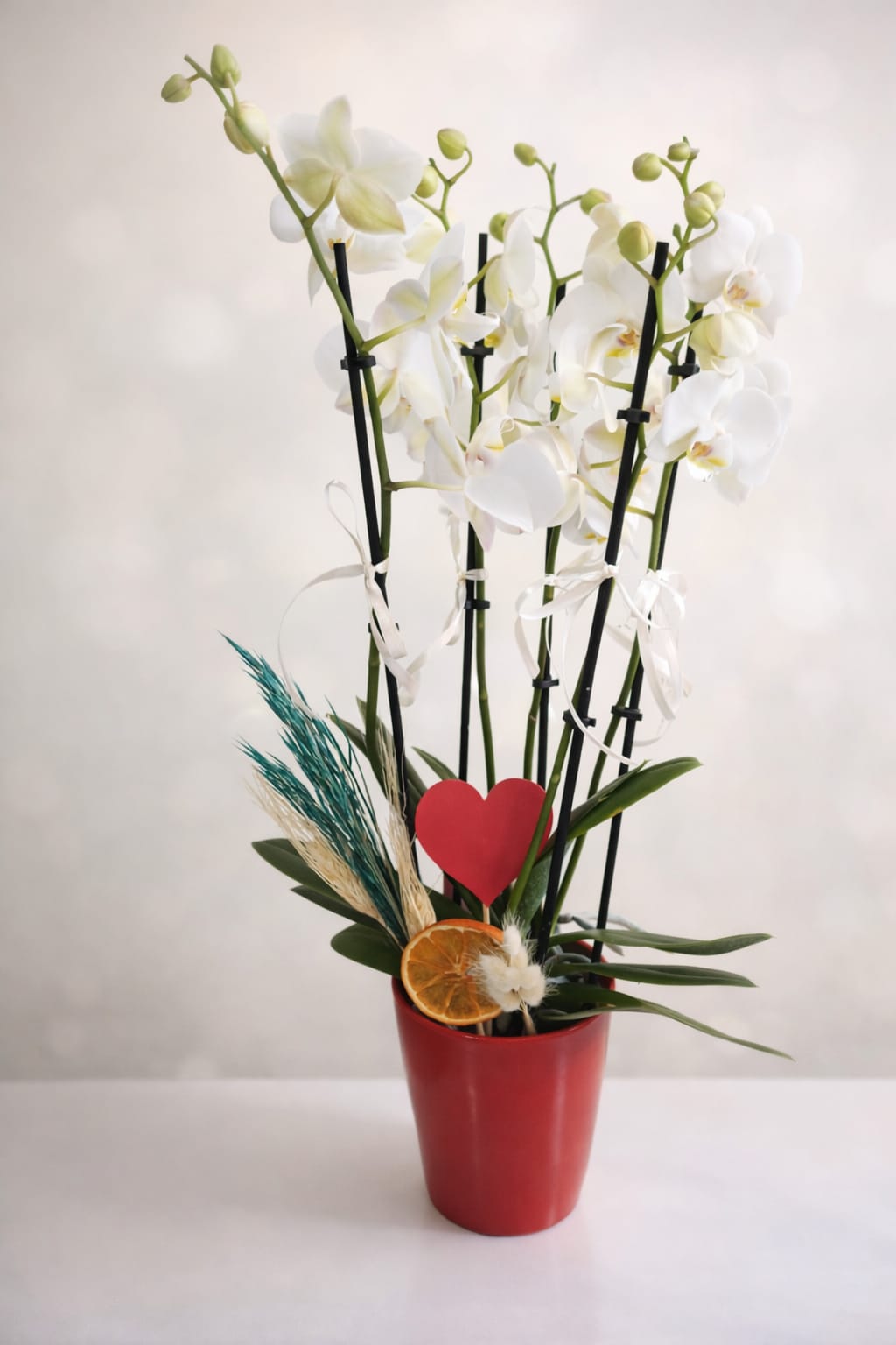 Pure Elegance 5 Dal Orkide