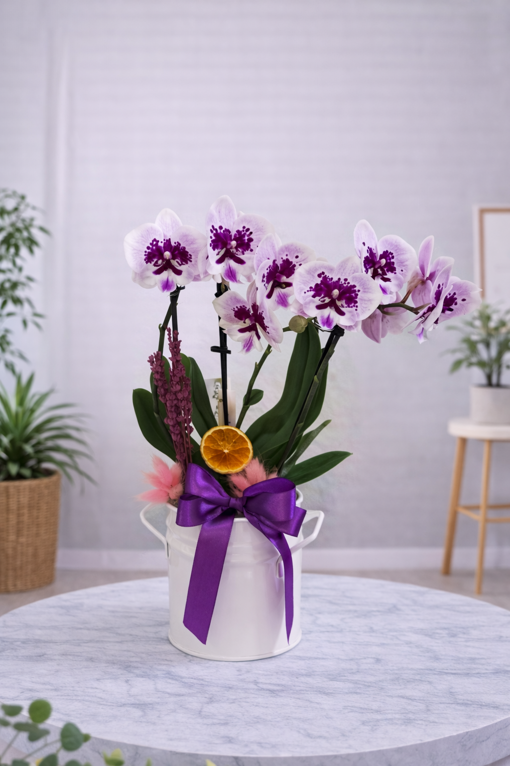 Purple Elegance – Mini Orkide