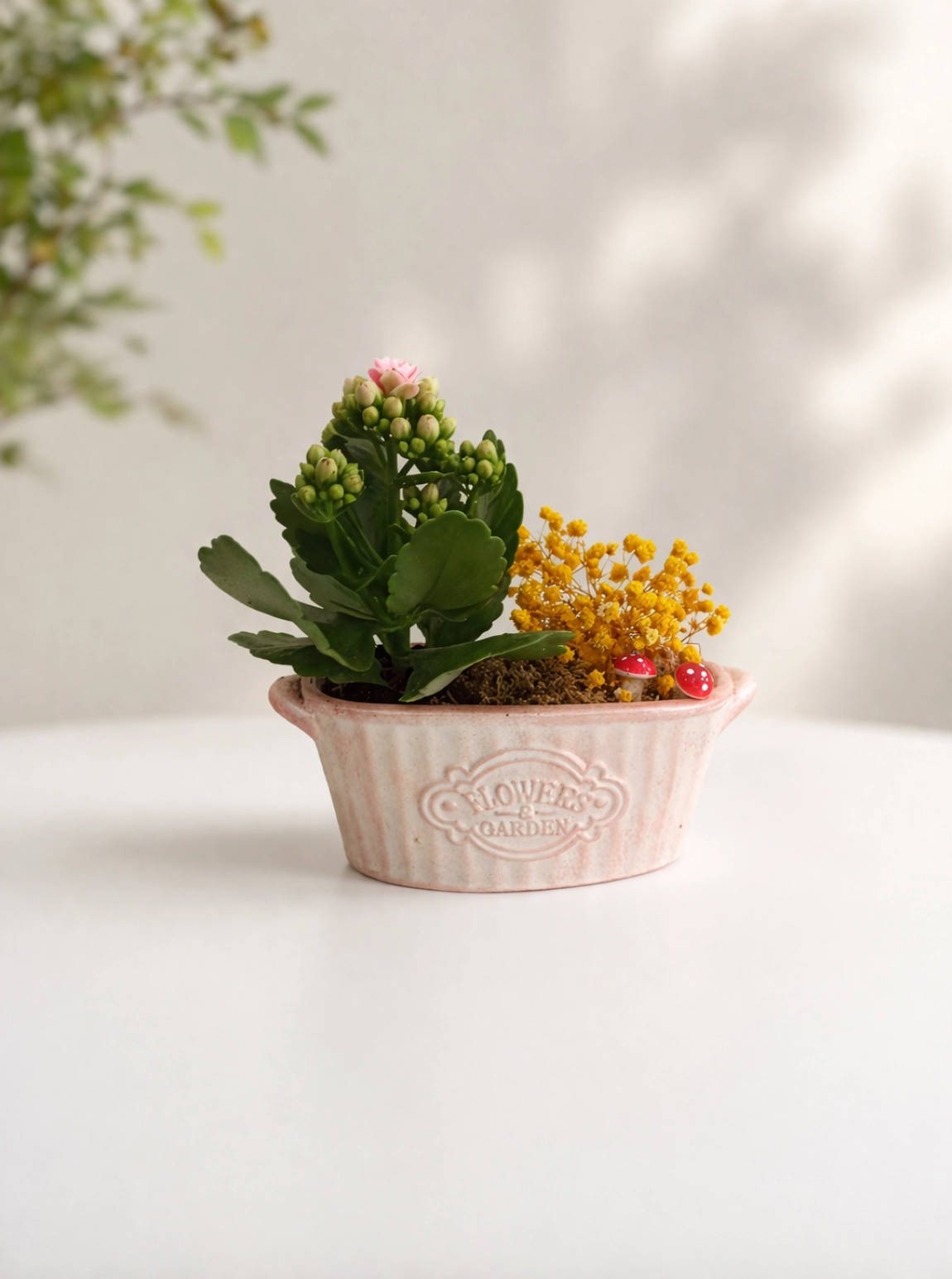 Soft Garden Mini Aranjman