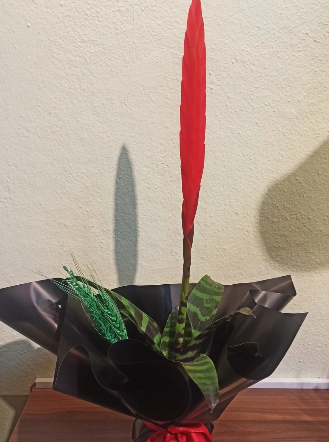 Alev Kılıcı Çiçeği - Vriesea Carinata Kırmızı