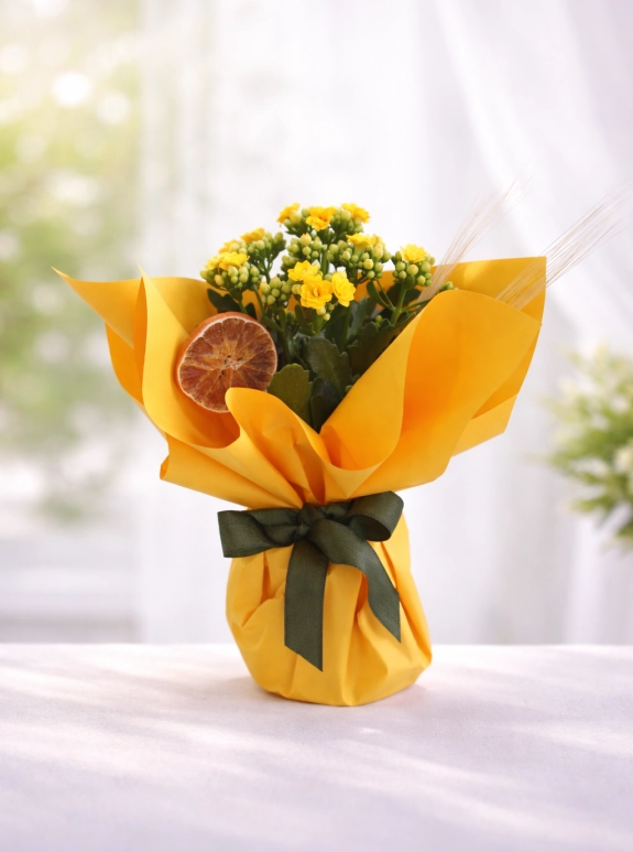 Güneş Işığı Kalanchoe Aranjmanı