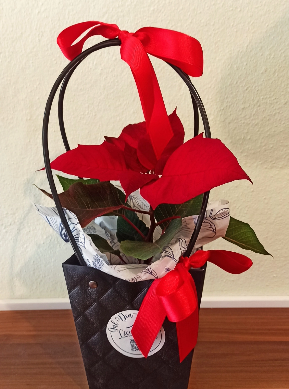 Kırmızı Poinsettia (Atatürk Çiçeği)