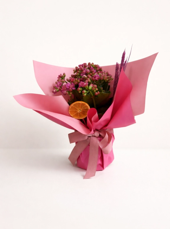 Pembe Zarafet Kalanchoe