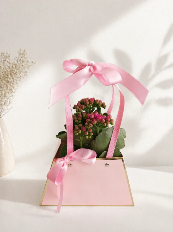 Pembe Zarafet Kalanchoe Aranjmanı
