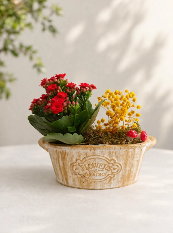 Ruby Garden Mini Aranjman