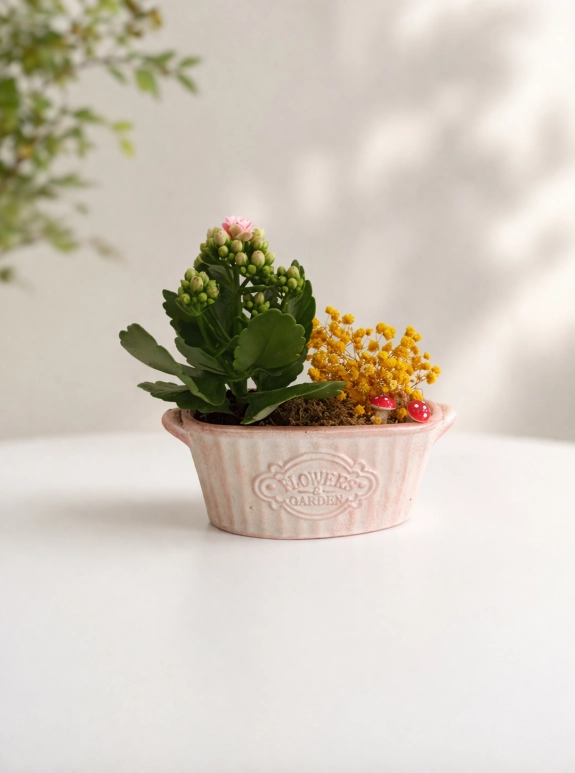 Soft Garden Mini Aranjman