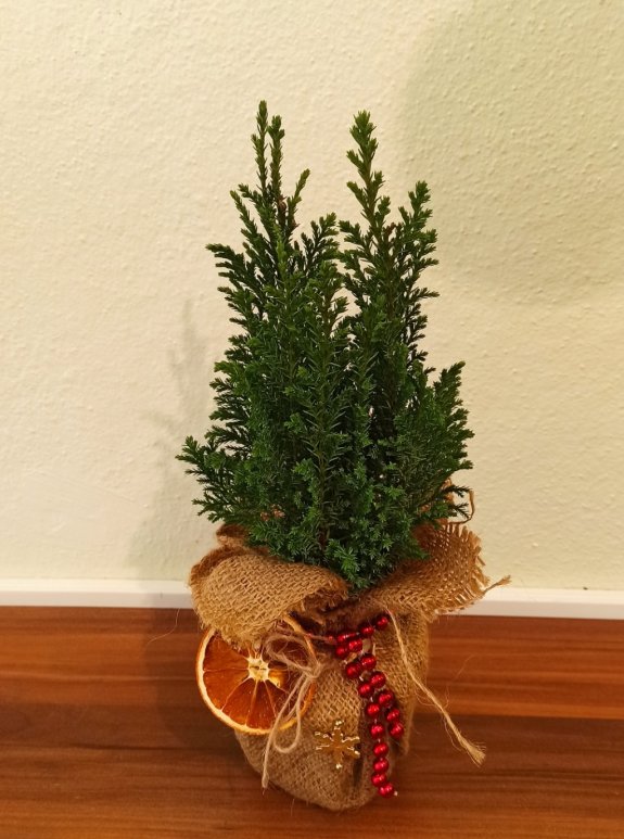 Yeni Yıl Dekoratif  Çam