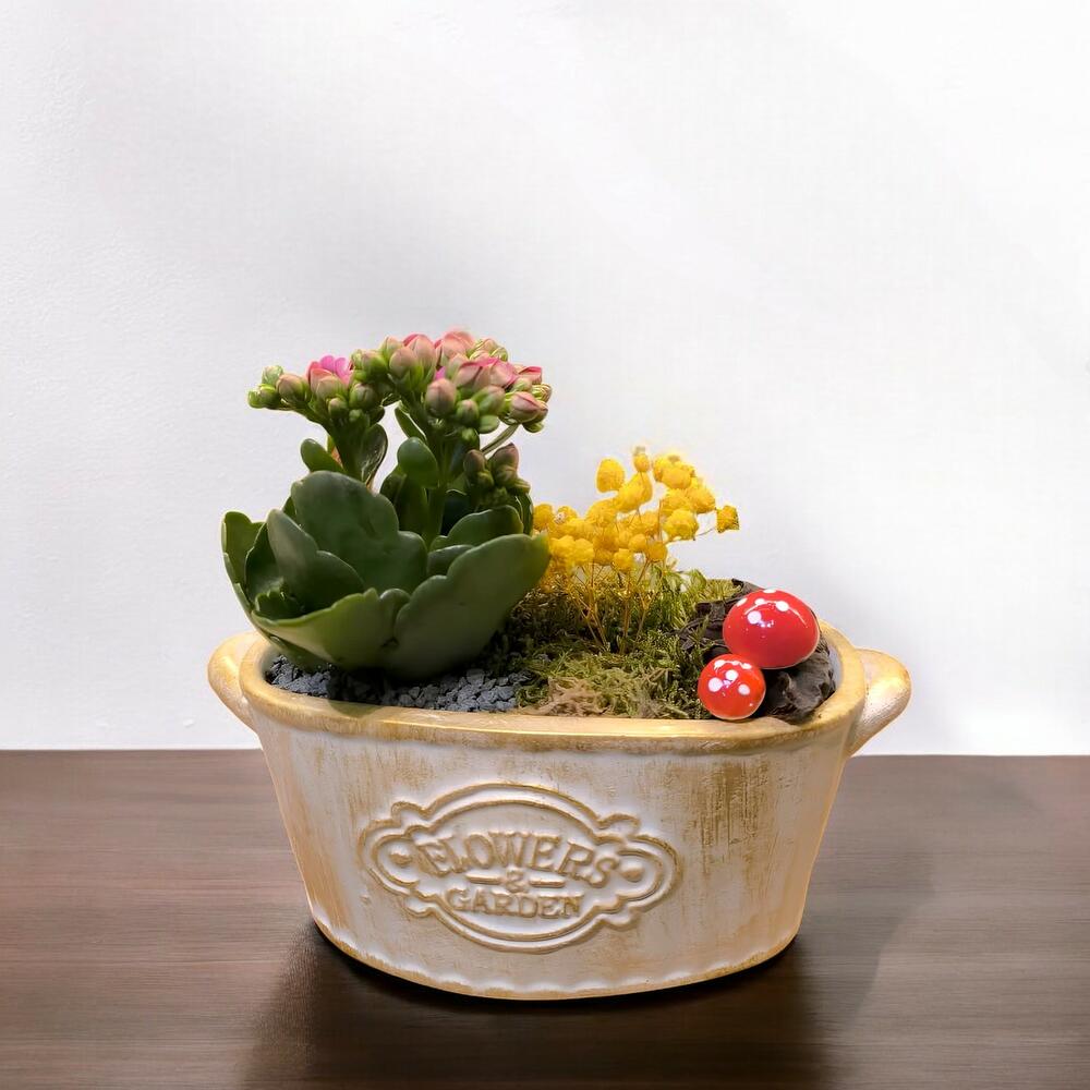 Vintage Sakılı Mini Kalanchoe