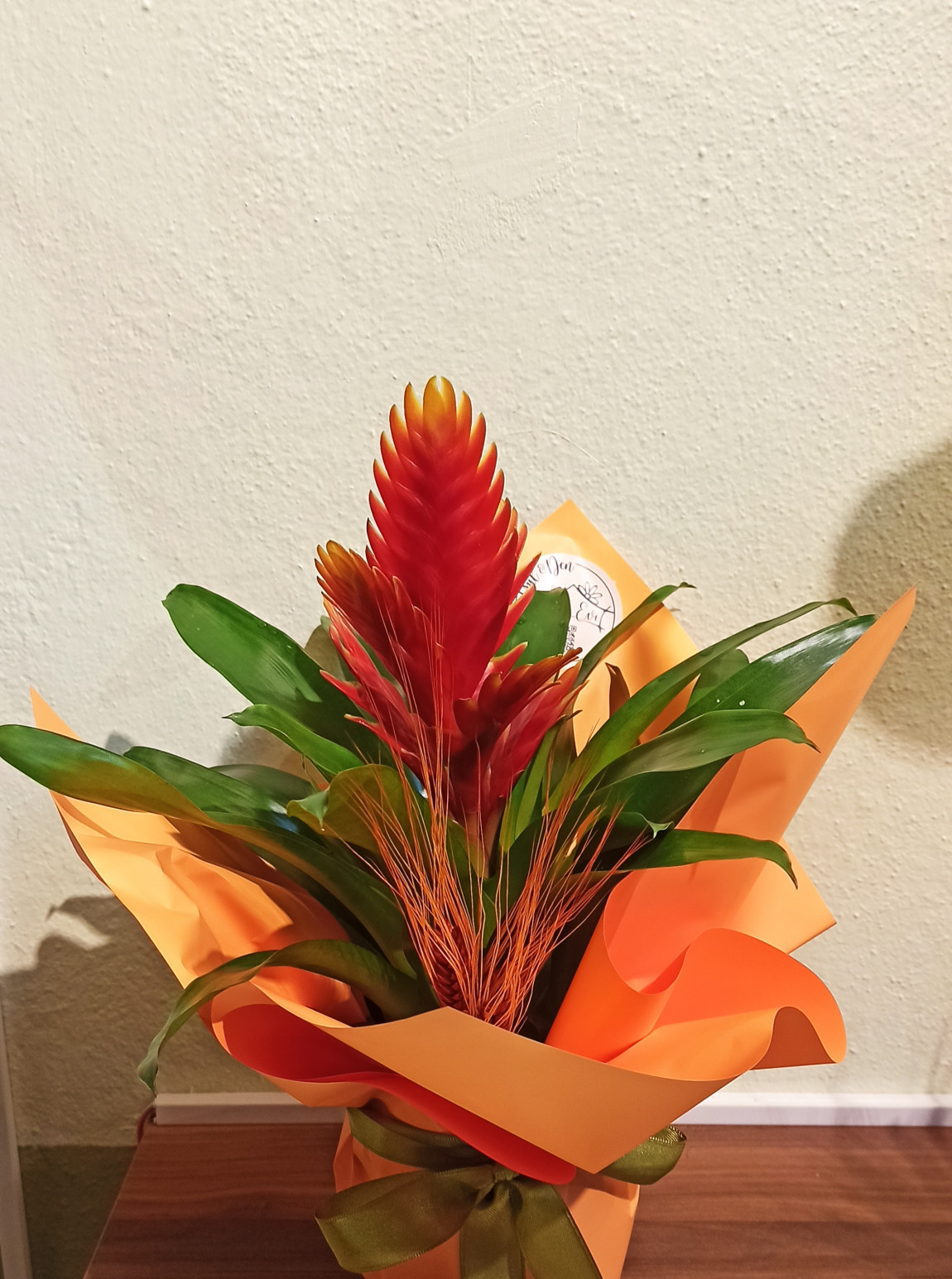 Virezya Çiçeği Turuncu