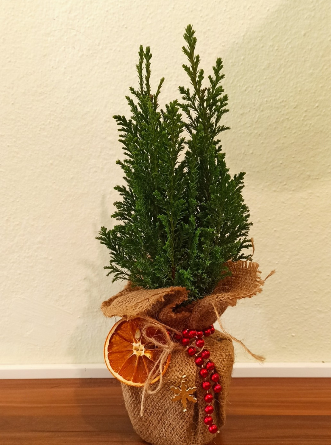 Yeni Yıl Dekoratif  Çam